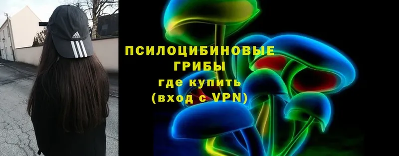 даркнет официальный сайт  мега   Вытегра  Галлюциногенные грибы Cubensis 